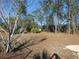 Overgrown backyard featuring a mix of open space and mature trees at 55 Sw Fig Tree Ln, Dunnellon, FL 34431