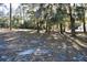 Large backyard area with trees at 12330 Sw 43 St Rd, Ocala, FL 34481