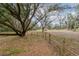 Fenced yard with mature tree providing plenty of shade and natural ground cover at 2045 Marion County Rd, Weirsdale, FL 32195