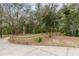 Spacious yard surrounded by mature trees and a wooden fence, offering privacy and a natural setting at 2045 Marion County Rd, Weirsdale, FL 32195