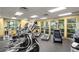 Bright gym featuring cardio equipment, weight machines, and large windows with views of the outdoors at 3999 Sw 51St Ct, Ocala, FL 34474