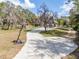 Long driveway leading up to the beautiful home, lined with mature trees and landscaping at 5995 Se 22Nd Ave, Ocala, FL 34480