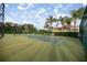 Well-maintained tennis court with lush landscaping and palm trees in the background at 10138 Lake Miona Way, Oxford, FL 34484