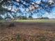 Large backyard with mature trees and open space at 13521 N Magnolia Ave, Citra, FL 32113