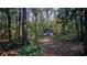 Photo of a shed nestled among mature trees, offering a secluded space at 20260 Sw 95Th St, Dunnellon, FL 34431