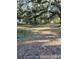 A beautiful wooded lot with lush green foliage, mature trees and shaded areas at 2259 Nw 2Nd Ave, Ocala, FL 34475