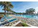 Resort-style pool with sun loungers and palm trees under a bright blue sky at 4050 Nw 44Th Cir, Ocala, FL 34482