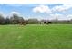 Horses and cows grazing on a lush pasture, surrounded by trees and blue skies at 6994 Nw 320 Hwy, Micanopy, FL 32667