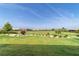 Lush backyard featuring a well-maintained lawn, landscaping, and open space at 8107 Sw 92Nd Cir, Ocala, FL 34481