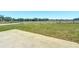 A portion of the backyard displays lush grass with a distant view of the trees at 9105 Se 55Th Ter, Ocala, FL 34480