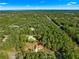 Expansive aerial view showing the home nestled among lush trees, emphasizing its tranquil, private location at 29 Guava Pass, Ocklawaha, FL 32179