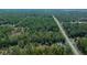 Scenic aerial shot of a property surrounded by dense trees, offering both seclusion and natural beauty at 4445 Sw Azalea Ct, Dunnellon, FL 34431