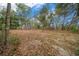 A partially wooded backyard featuring various trees and fallen leaves on the ground at 11684 Sw 56Th Ter, Ocala, FL 34476