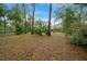 Large grassy backyard with mature trees at 7810 Sw 186Th Cir, Dunnellon, FL 34432