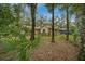 Back view of the home nestled among trees, featuring a spacious yard and what appears to be a screened-in porch at 7810 Sw 186Th Cir, Dunnellon, FL 34432