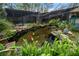 Beautiful backyard koi pond surrounded by lush greenery, rocks, and a stone lantern at 7810 Sw 186Th Cir, Dunnellon, FL 34432