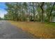 Residential property surrounded by dense trees, offering a serene and secluded environment at 7810 Sw 186Th Cir, Dunnellon, FL 34432