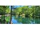 Scenic view of a clear river with lush green trees, creating a tranquil and inviting natural environment at 2150 Nw 23Rd Loop, Ocala, FL 34475