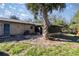 View of the backyard features lush green grass and a beautiful palm tree at 3301 Se 32Nd Ave, Ocala, FL 34471