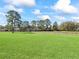 Lush green backyard featuring a stone wall and mature trees, offering privacy and space at 3848 Nw 85Th Ter, Ocala, FL 34482