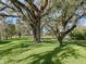 Gorgeous yard with shade trees at 3848 Nw 85Th Ter, Ocala, FL 34482