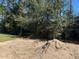 Backyard lot with mature trees at 7649 Sw 180Th Cir, Dunnellon, FL 34432