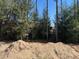 Backyard lot with mature trees at 7649 Sw 180Th Cir, Dunnellon, FL 34432