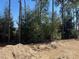 Backyard lot with mature trees at 7649 Sw 180Th Cir, Dunnellon, FL 34432