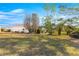 View of the backyard with palm trees and a screened-in lanai at 10055 Sw 90Th Loop, Ocala, FL 34481