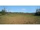 Expansive backyard with a serene view of the picturesque grassy land and surrounding natural greenery at 18434 Se 24Th St, Silver Springs, FL 34488