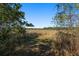 The backyard view is accentuated by natural grass and a border of wildflowers at 18434 Se 24Th St, Silver Springs, FL 34488