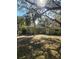 Charming single-story home with a lush, tree-filled front yard and a quaint, welcoming entrance at 18434 Se 24Th St, Silver Springs, FL 34488