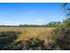 Scenic view of a vast field under a clear sky, offering potential for various agricultural or recreational uses at 18434 Se 24Th St, Silver Springs, FL 34488