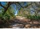 This land's view showcases beautiful foliage, offering a private, shaded driveway at 18434 Se 24Th St, Silver Springs, FL 34488