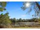 Tranquil pond view bordered by lush trees, creating a peaceful and natural setting at 18434 Se 24Th St, Silver Springs, FL 34488