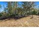 View of the property's gated entrance surrounded by lush trees, providing privacy and security at 18434 Se 24Th St, Silver Springs, FL 34488