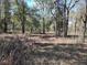 The land around the property is densely wooded with mature trees at 1546 Sw 153Rd Sw Ct, Ocala, FL 34481