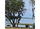 Beautiful lake view with boat access and lush Spanish moss draping the trees at 162 Riggings Way, Clermont, FL 34711