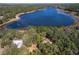 Scenic aerial view of a lakeside property surrounded by lush greenery and mature trees at 17153 Se 79Th Street Rd, Ocklawaha, FL 32179