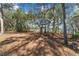 View of the tree-filled backyard leading to a lake in this lakefront property at 17153 Se 79Th Street Rd, Ocklawaha, FL 32179