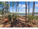 Scenic lake view in this lakefront property framed by tall trees at 17153 Se 79Th Street Rd, Ocklawaha, FL 32179