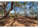 Picturesque view of the lake surrounded by nature with plenty of sunlight and shade at 17153 Se 79Th Street Rd, Ocklawaha, FL 32179