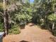 View of the backyard showing many trees and foliage at 3081 Ne 49Th St, Ocala, FL 34479