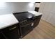 Modern kitchen featuring sleek black appliances, white countertops, and black cabinetry with gold hardware at 4534 Se 13Th St, Ocala, FL 34471