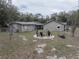 Backyard features a stone fire pit area with chairs, connecting the main house to a guesthouse at 5490 Se Highway 42, Summerfield, FL 34491