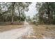 View of the dirt driveway, lined with trees, leading to the home at 5490 Se Highway 42, Summerfield, FL 34491