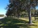 Lush green lawns and mature trees line the black four-rail fencing of this beautiful property under a clear blue sky at 8585 Nw 162Nd Ct, Morriston, FL 32668