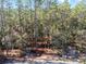 View of wooded backyard, play set, and tire swing; perfect spot to build a custom playground at 18301 Sw 69Th Loop, Dunnellon, FL 34432