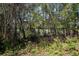 Mature trees provide privacy around the spacious backyard at 11587 Sw 72Nd Cir, Ocala, FL 34476