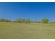 Lush golf course scenery with green grass and mature trees, offering scenic views at 13128 Se 97Th Terrace Rd, Summerfield, FL 34491